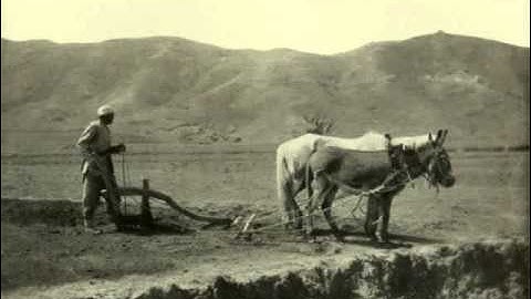 Myaskovsky: String Quartet #7 in F Major, Op. 55 - IV Vivacissimo