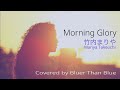 竹内まりや(Mariya Takeuchi)/ Morning Glory (COVER)【歌詞/ローマ字/英訳】