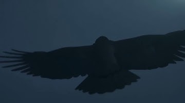 GAME OF THRONES CONQUEST -  Trailer 2017