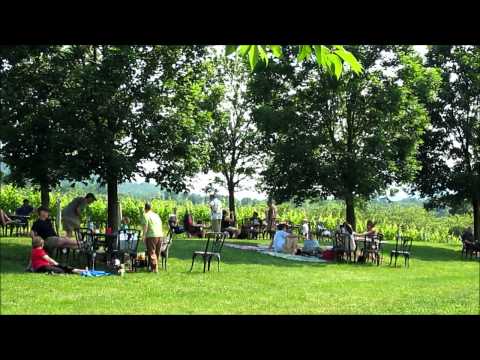 Breaux Winery & Vineyards - Video Tour - Purcellville Virginia, USA