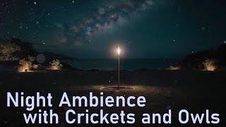 Relax In the night ambience with frogs, crickets and owls  Nature sound