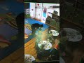 Kindergarten cctv camera video #shorts #babyshorts #cute #cctv #camera