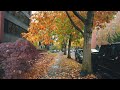 Northwest Portland Fall Rain Walk 2023 Binaural Audio 4K