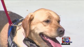 Working dogs in Des Moines honored