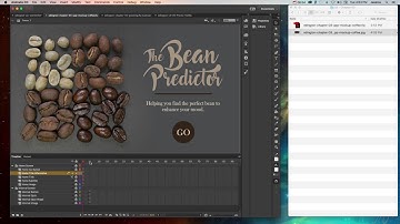 Animate - Exporting Projects