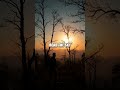 Starlight Path: Navigating by Sky and Shadow