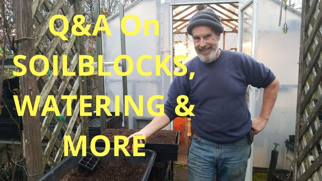 Q&A on Soil blocks,  Watering, & More!