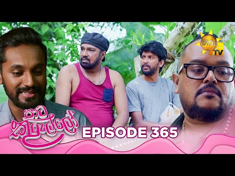 Paata Kurullo - පාට කුරුල්ලෝ | Episode 365 | 02nd October 2025 | Hiru TV