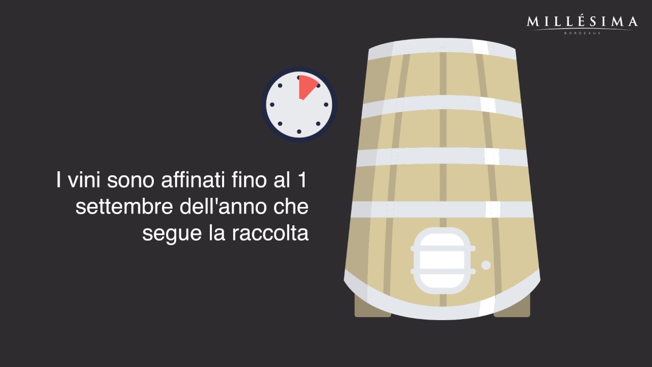 Video tutorial – DOCG ROSSO DI MONTALCINO - TOSCANA montalcino wine