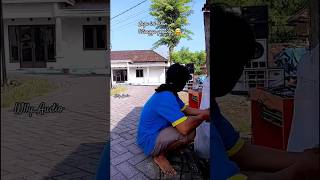 lagu ini bikin tetangga goyang jumper sama sound tetangga bosku #miniature #soundminiatur