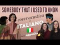 SOMEBODY THAT I USED TO KNOW in ITALIANO feat. @Opposite 🇮🇹 Gotye (feat. Kimbra) cover