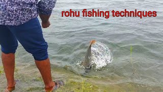 Best fishing technique | Rohu fishing |village Fishing Vlog