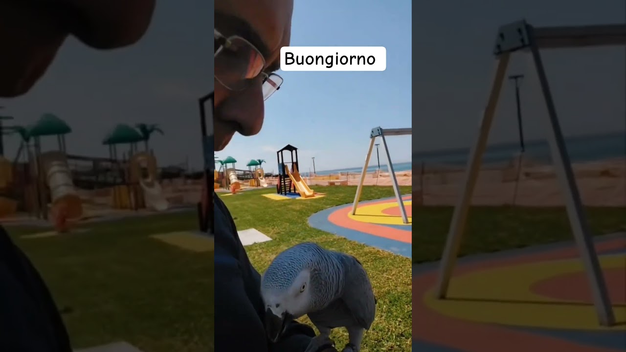 buongiorno
