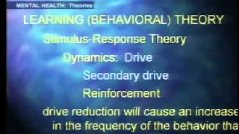 PSYC 3347 LECTURE 11