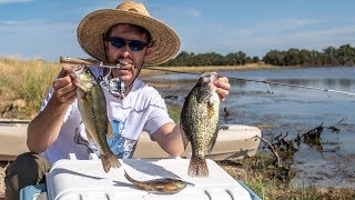 Multi Species Catch & Cook Challenge | SURPRISING RESULT!