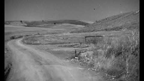 PiKSELiM Low-Light CMOS Sensor for Driver Vision Enhancement