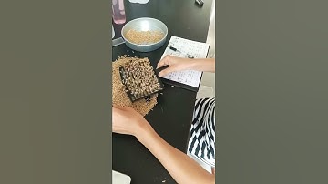 Easiest way of counting rice or wheat seed