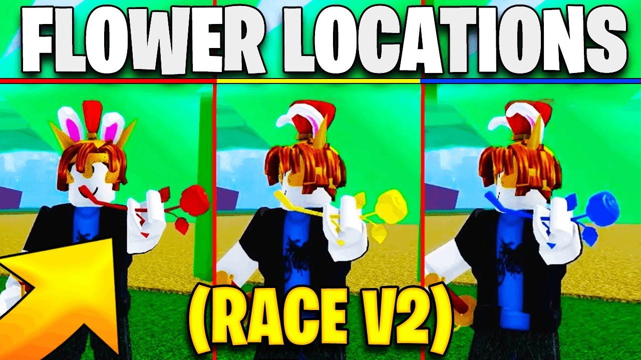 How To Get Race V2 - Blox Fruits: All Flower 3 Locations Red, Blue