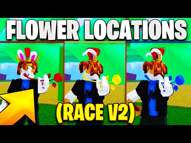 Races, Blox Piece Wiki