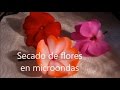Secado de flores en microondas