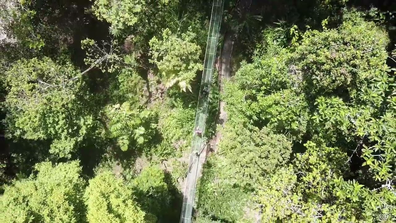 Mountain Top Park Costa Rica! The highest viewpoint in Manuel Antonio