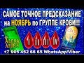 Самое точное предсказание на НОЯБРЬ по группе крови!//гадание онлайн  на картах таро