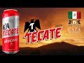 Cerveza TECATE ORIGINAL 🍺 CATA & HISTORIA