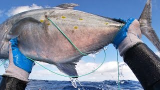 Spearfishing The South Shores of Oahu