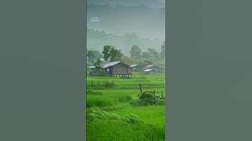 very cool and peaceful #rain #shorts #youtubeshorts #AI