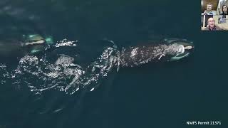 "We Are All Whalers" with Michael Moore