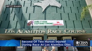 Second Of Two Horses Injured During Race At Los Alamitos Dies