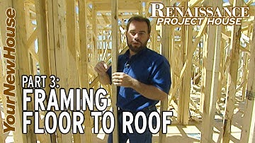 Framing (walls, floor and roof): Renaissance Project House - Part 3