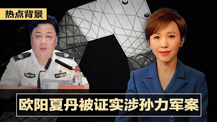 央视欧阳夏丹被证实涉孙力军案被查；黄奇帆归纳美中脱钩10大类型，双循环可反制；三亚市委书记童道驰落马；匪夷所思的美国选举人团制；“女版奥巴马”贺锦丽 | 热点背景（20201102） - 天天要闻