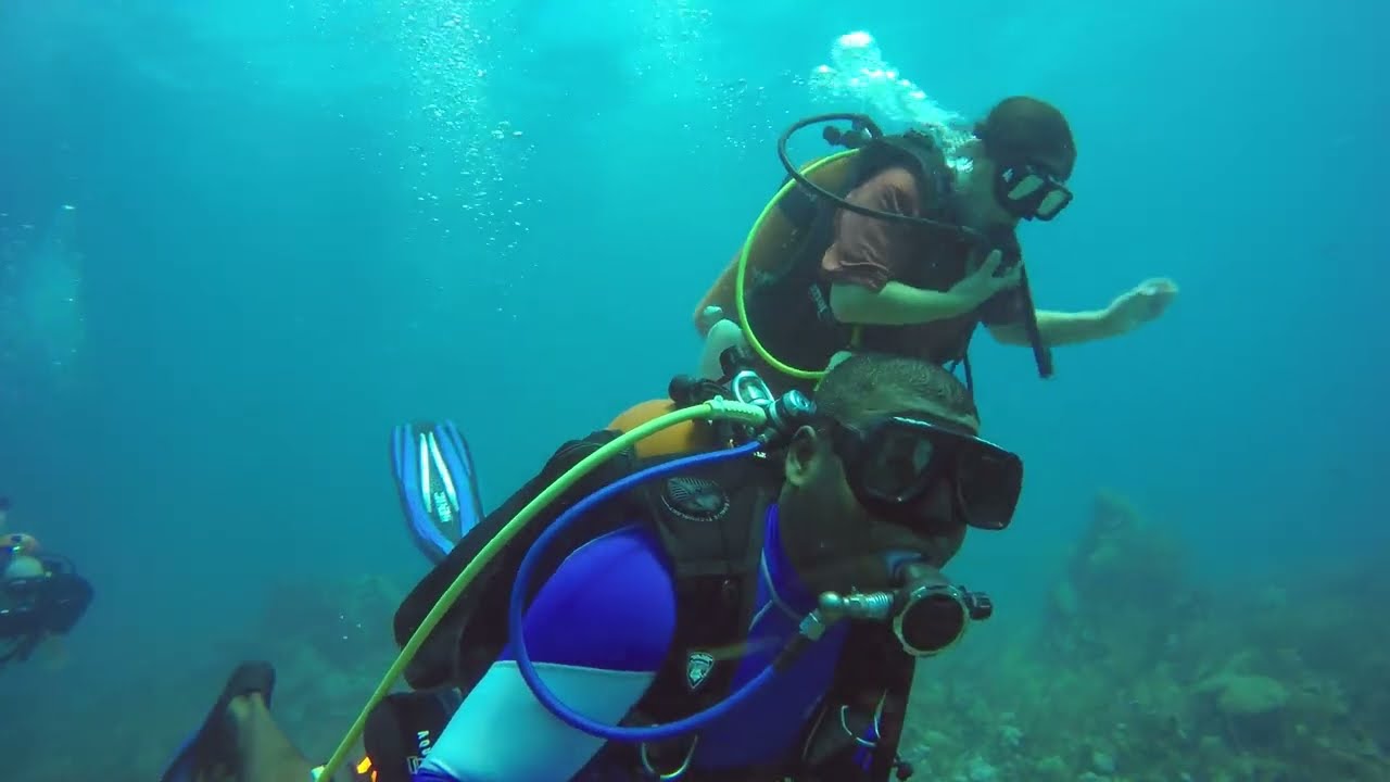 Belize Tourism Board's National Tourism Awards | Tour Operator of the Year 2022