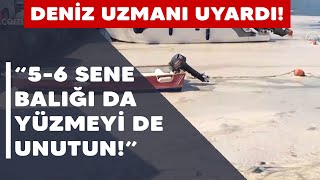 Marmara Denizi Ölüyor Bu Derece Bir Durumla Hiç Karşılaşmamıştık