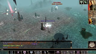 Neverwinter Nights EE - To Heir is Human (Blind, Very Difficult)