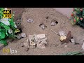 Cat tv mice digging burrows  holes in sand and hide  seek for cats to watch 4k 8 hour u.