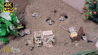 Cat TV mice digging burrows \/ holes in sand and hide \& seek for cats to watch 4k 8 hour UHD