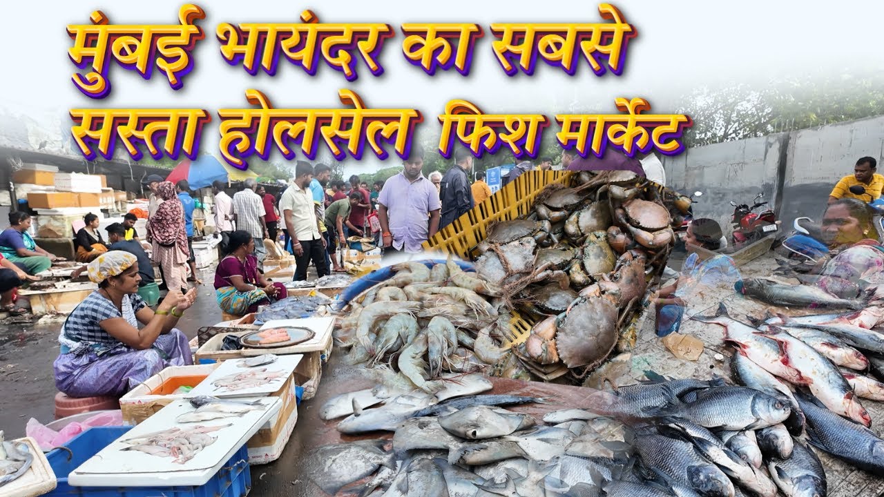 Bhayandar Fish Market | Mira Bhayandar Wholesale Fish Market Tour | Fresh Seafood Market in Mumbai