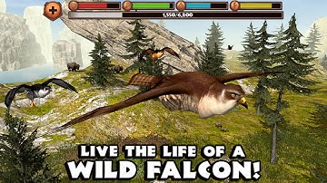 Falcon Simulator - By Gluten Free Games - Compatible with iPhone, iPad, and Android
