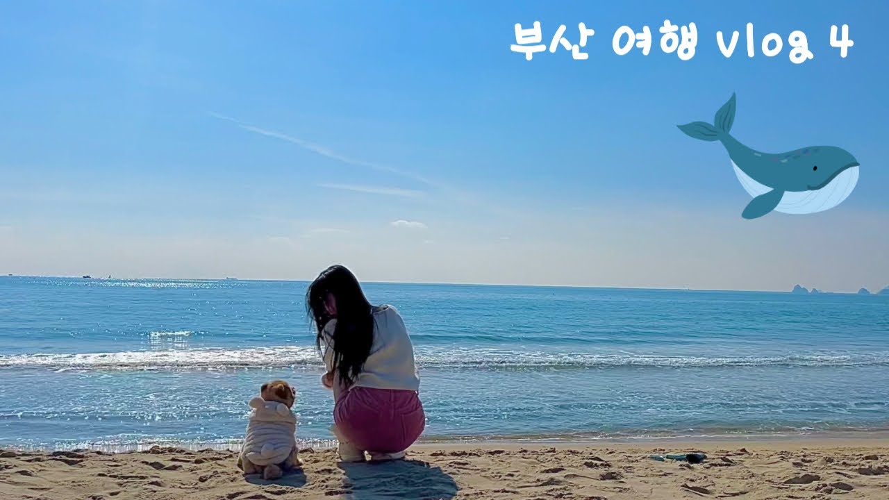 강아지랑 부산여행 마지막날! (해운대, 해리단길 애견동반 카페)