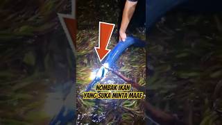 Coba menombak ikan Sori atau needle Fish. Biru dengan mulut runcing #needlefish