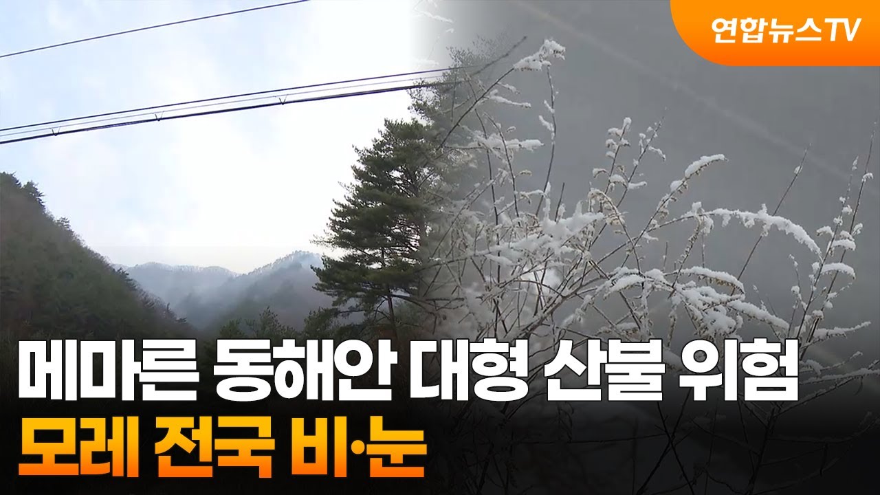 메마른 동해안 대형 산불 위험…모레 전국 비·눈 / 연합뉴스TV (YonhapnewsTV) - YouTube