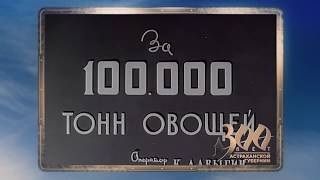 первые 100к тонн овощей