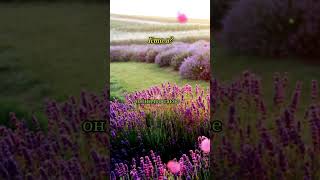 Когда не знаешь кто ты Марк Аврелий  #мысливслух #самоощущение  #мудрость #размышления