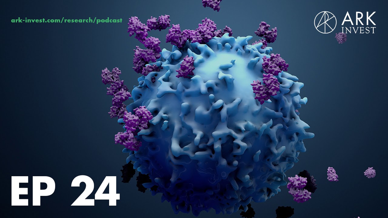 Immunotherapy part 2 with dr daniel chen md phd youtube