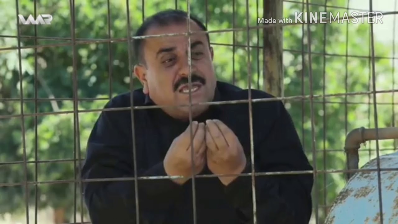 خه‌لو و جه‌لو | xelo u celo - YouTube