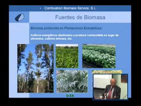 Simposio Recursos energéticos de la biomasa y el viento. D. Salvador Osorio. 08-05-2009.