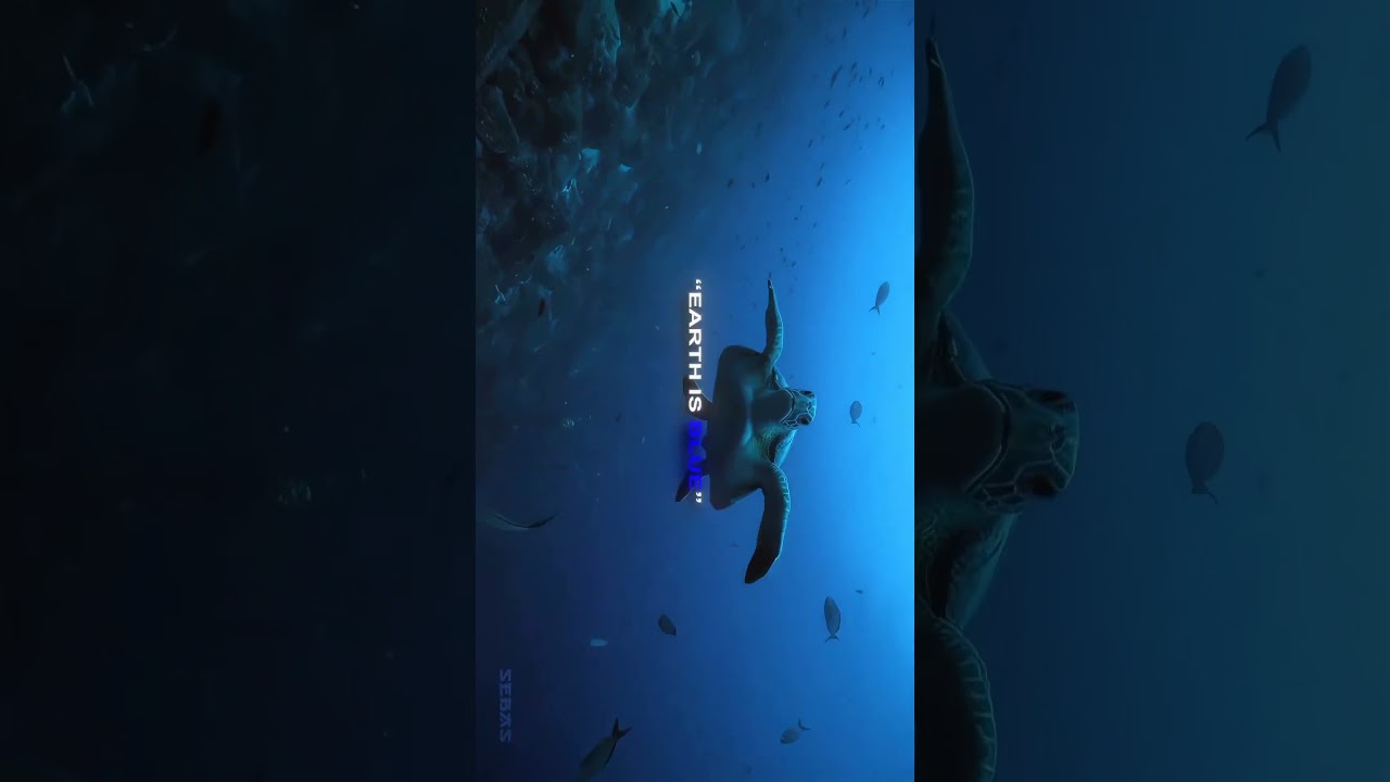 the beauty of earth 🌎