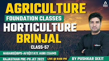 Agriculture Foundation Classes | Horticulture #57 | Brinjal | Rajasthan Pre-PG JET 2022 | NABARD